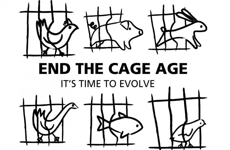 End the Cage Age – CIWF | Κίνημα για την απαγόρευση των κλουβιών σήμερα
