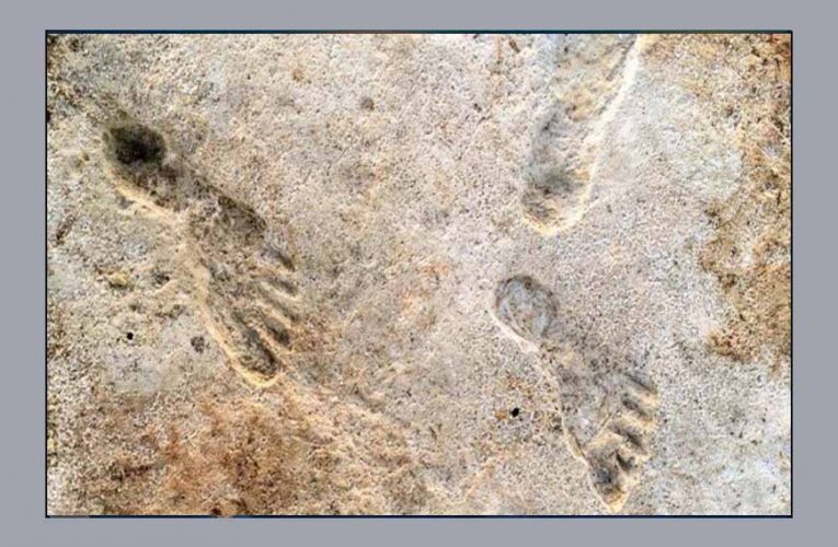 Ανακαλύφθηκαν oι αρχαιότερες πατημασιές ανθρώπων ηλικίας 23.000 ετών