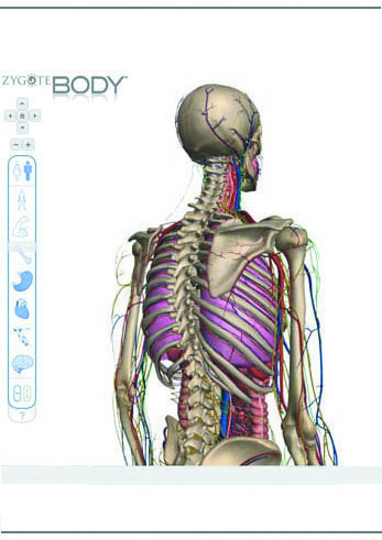 Zygote Body: Περιβάλλον περιήγησης του ανθρώπινου σώματος