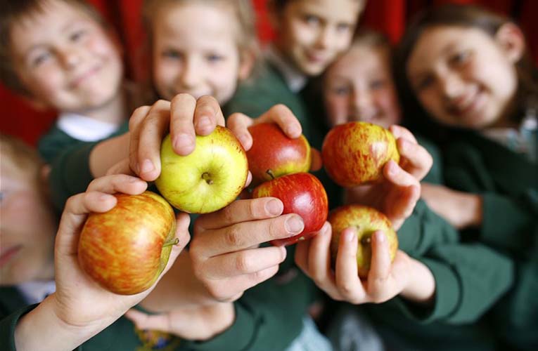 Σχολικό Πρόγραμμα διανομής φρούτων, λαχανικών και γάλακτος στην Πρωτοβάθμια εκπαίδευση – Ζώνες σχολείων