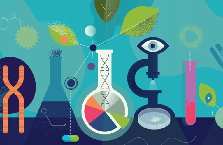 Mαθητικό συνέδριο “Διερευνώντας τον φυσικό κόσμο, κάνουμε πειράματα”